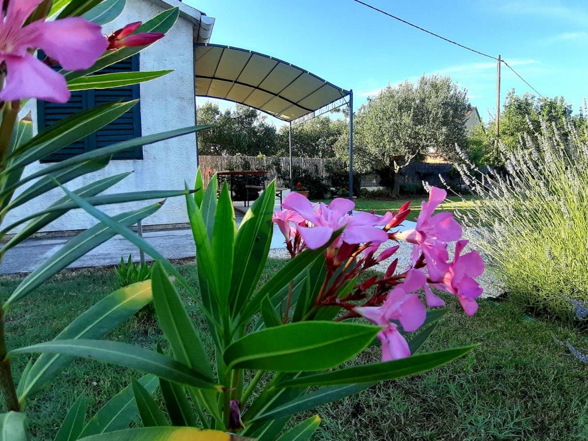 Holiday Home Villa Emma Debeljak Exterior photo