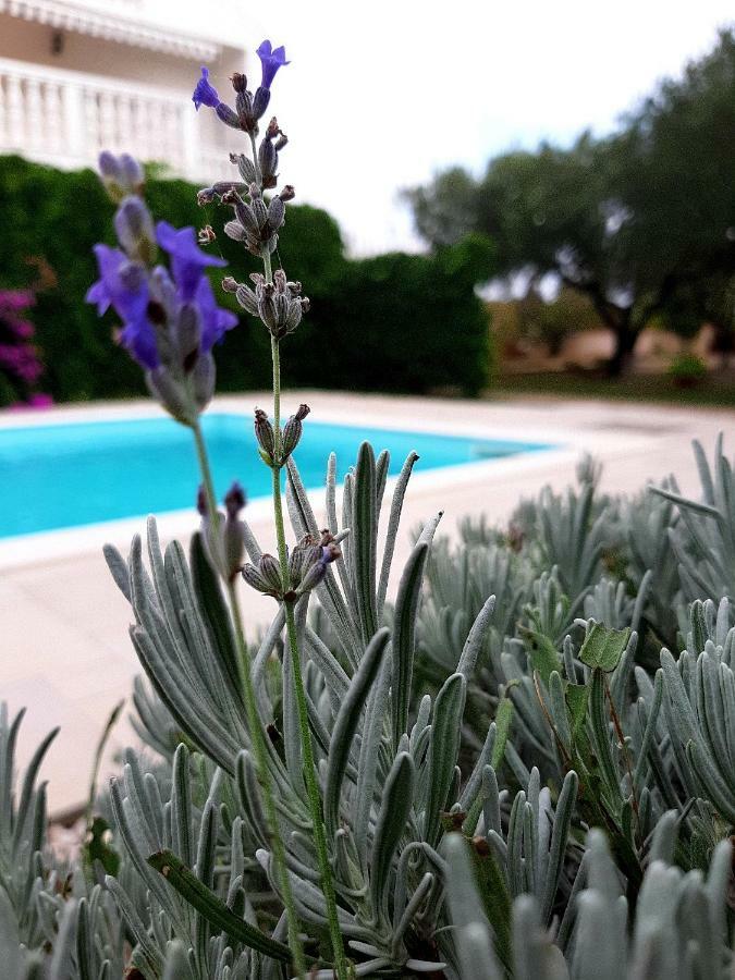 Holiday Home Villa Emma Debeljak Exterior photo